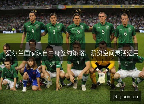 爱尔兰国家队自由身签约策略，薪资空间灵活运用